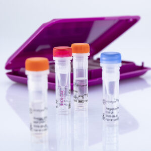 Kit Real-Time PCR virotype BTV pan/4