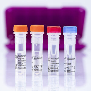Kit PCR bactotype Mycoplasma Mg/Ms