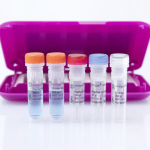 Kit PCR virotype ASFV 2.0