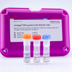 Kit Real-Time PCR virotype BTV pan/8 2.0