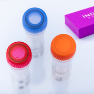 Kit Real-Time PCR virotype BTV pan/3 2.0